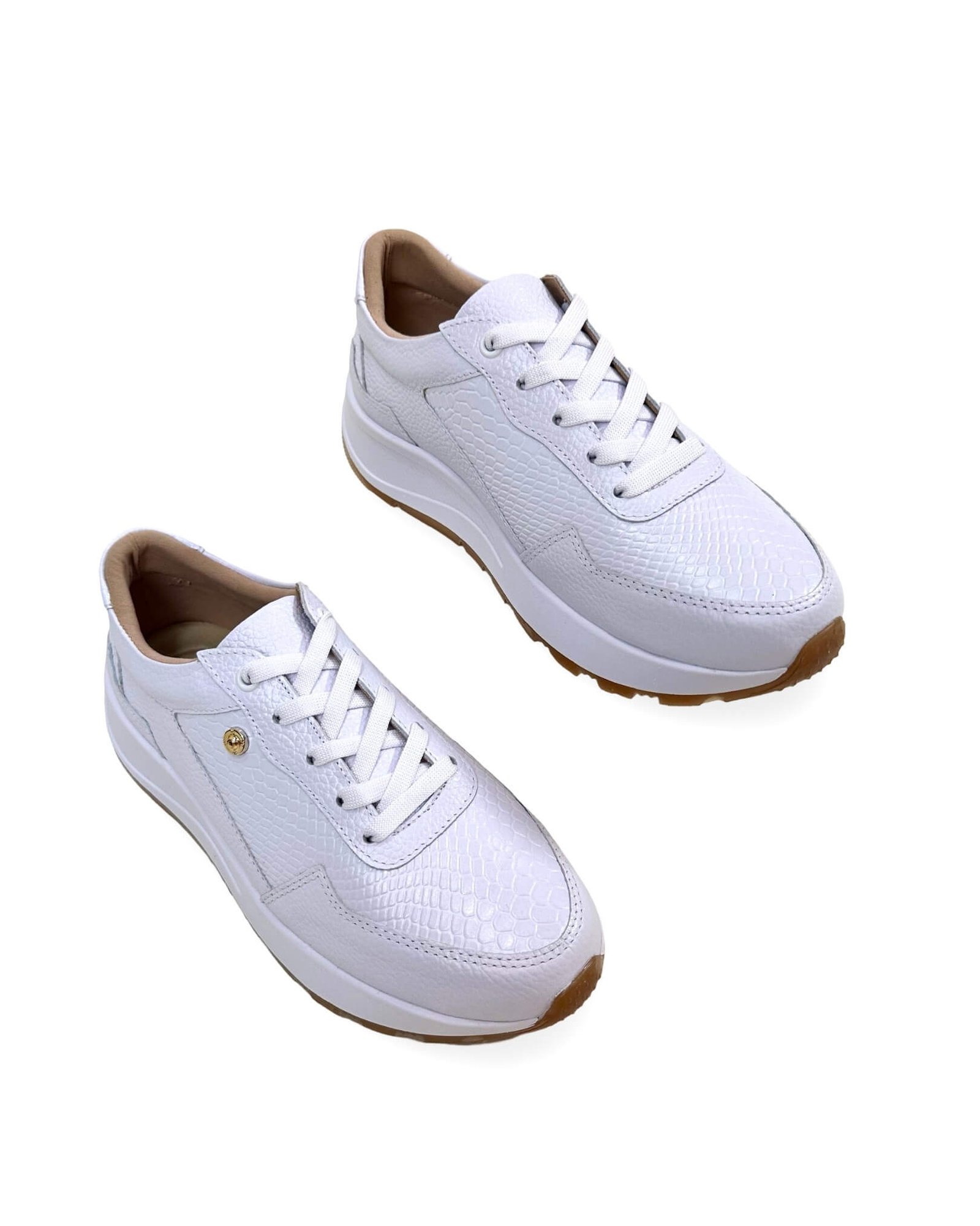 Deportivo Angelina Blanco - Image 2