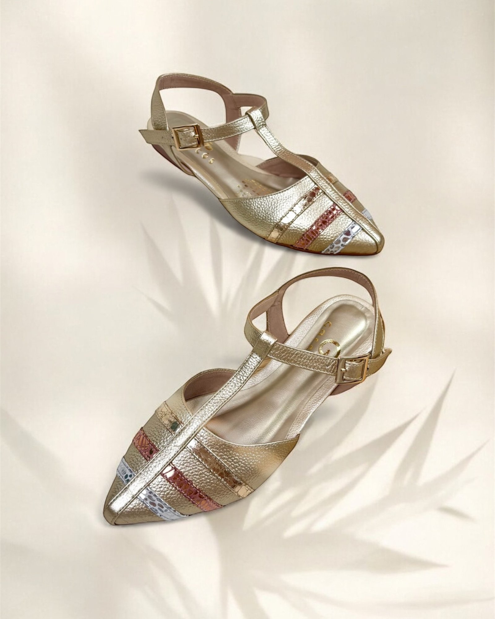 Baleta Violetta Tres Oros - Image 4