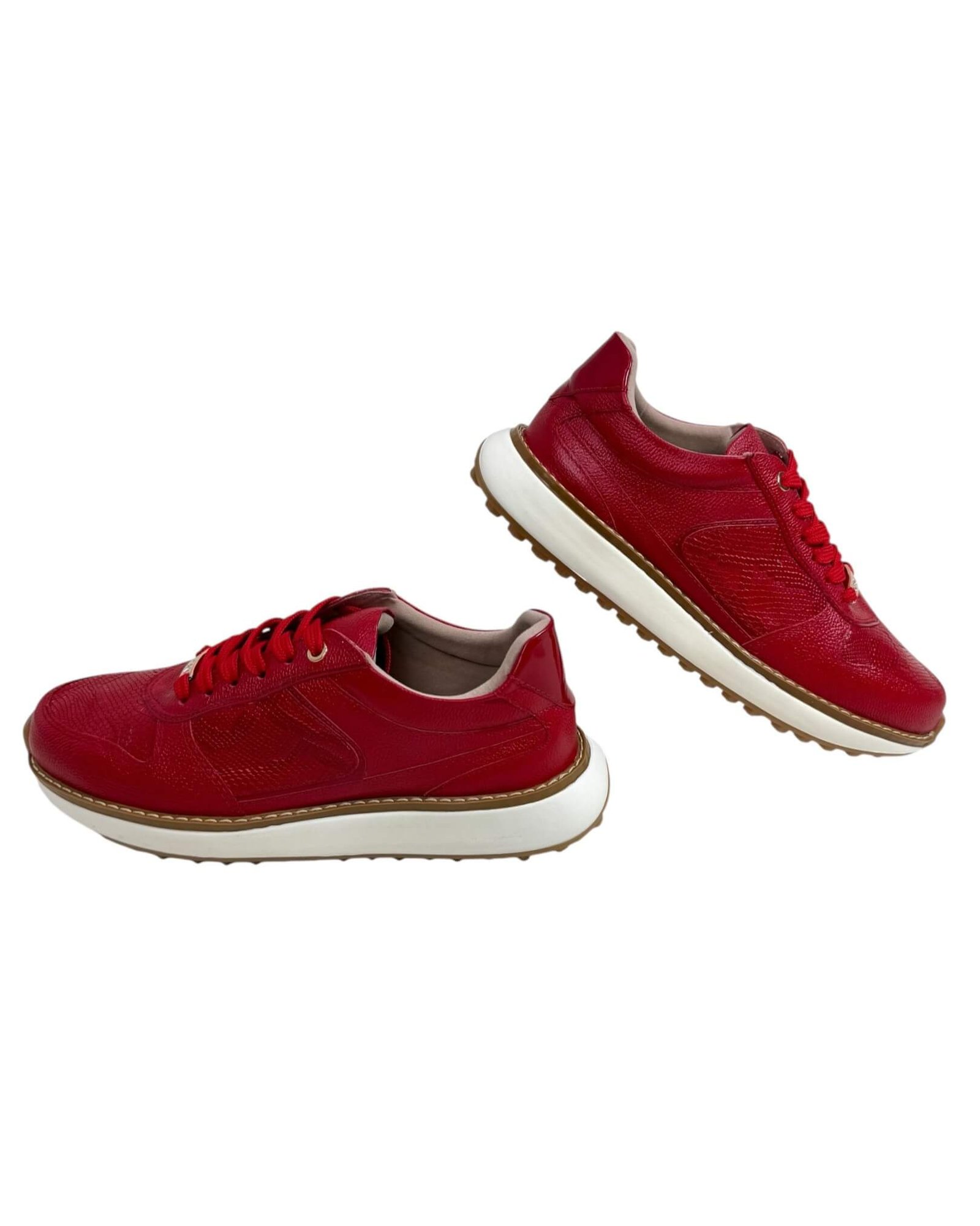 Deportivo Genova Rojo - Image 4